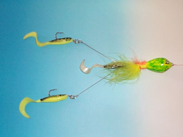 prop4.jpg (22022 byte)