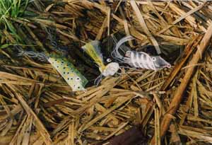 image002.jpg (63704 byte)