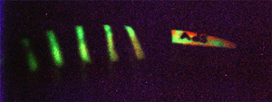minnow_light_nott.jpg (57126 byte)