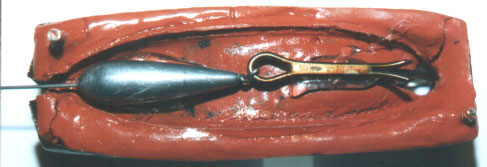 image005.jpg (30017 byte)