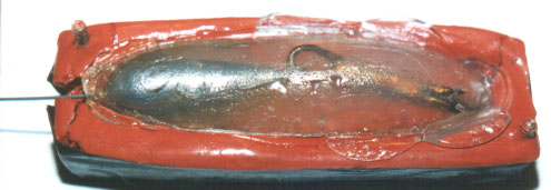 image006.jpg (29360 byte)