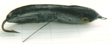 image008.jpg (18484 byte)