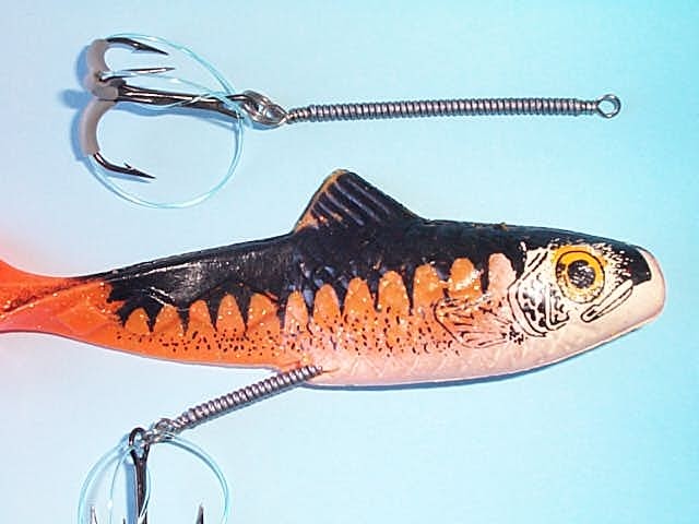 Shad montatura spirale.jpg (50514 byte)