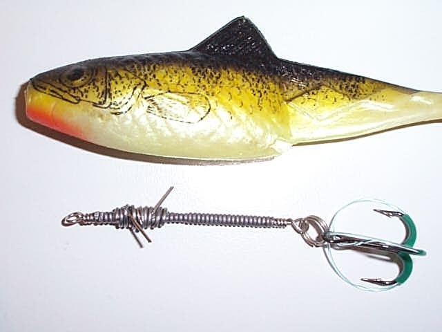 Shad_montatura_nuova.jpg (41690 byte)