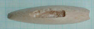 cerchi_naut_2.JPG (13239 byte)