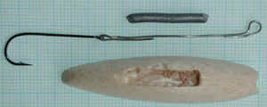 cerchi_naut_3.JPG (17161 byte)