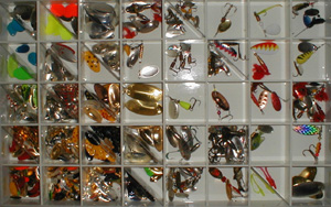 accessorixrot02.JPG (44048 byte)