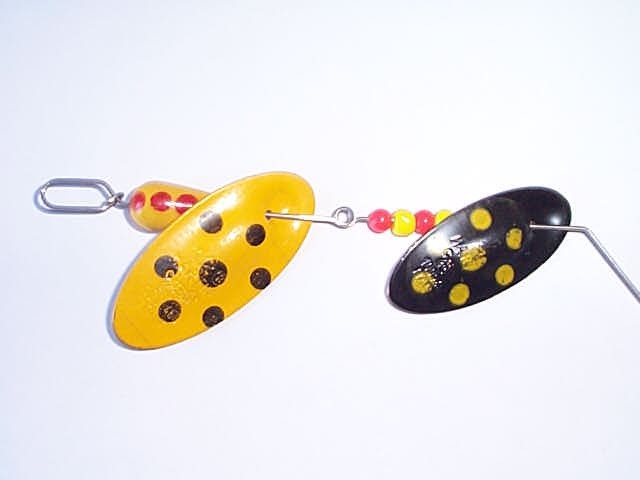 anello tandem.jpg (22286 byte)