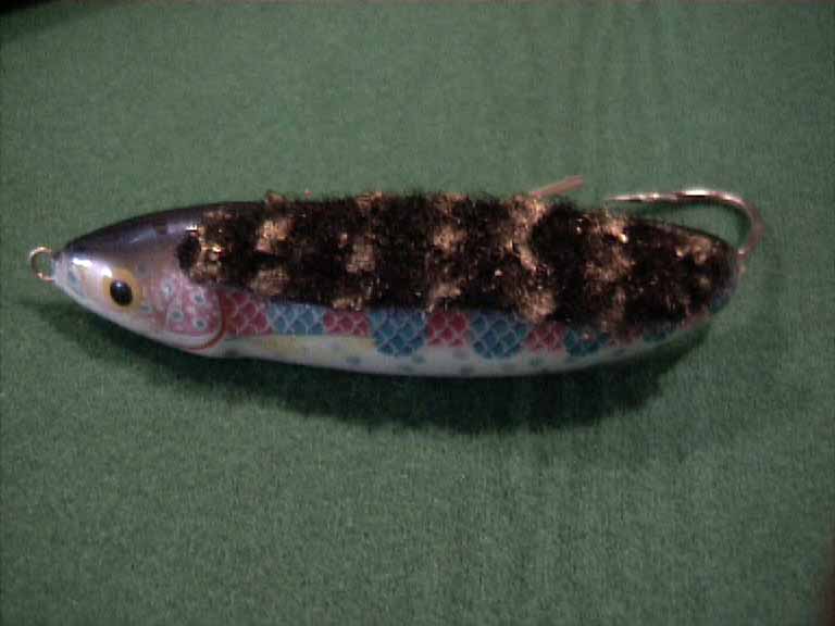 MinnowSPronto.JPG (32000 byte)