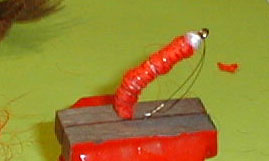 pc220005.jpg (9076 byte)