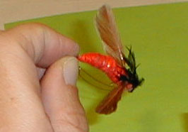 pc220008.jpg (9572 byte)