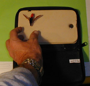 pc220012.jpg (15558 byte)