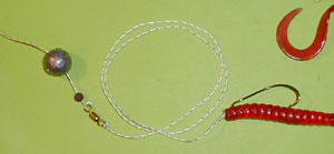 worm_carolina_rig.jpg (8162 byte)