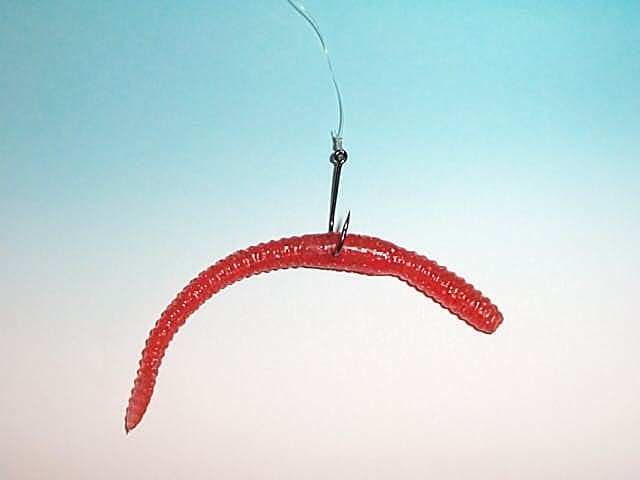 wr10.jpg (21626 byte)