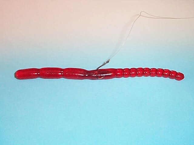 wr3.jpg (20136 byte)