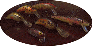 5_minnow.jpg (12385 byte)