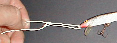 nodo_torc04.JPG (10364 byte)