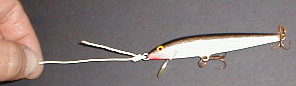 nodo_torc05.JPG (11757 byte)