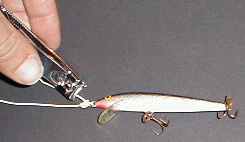 nodo_torc06.JPG (15700 byte)